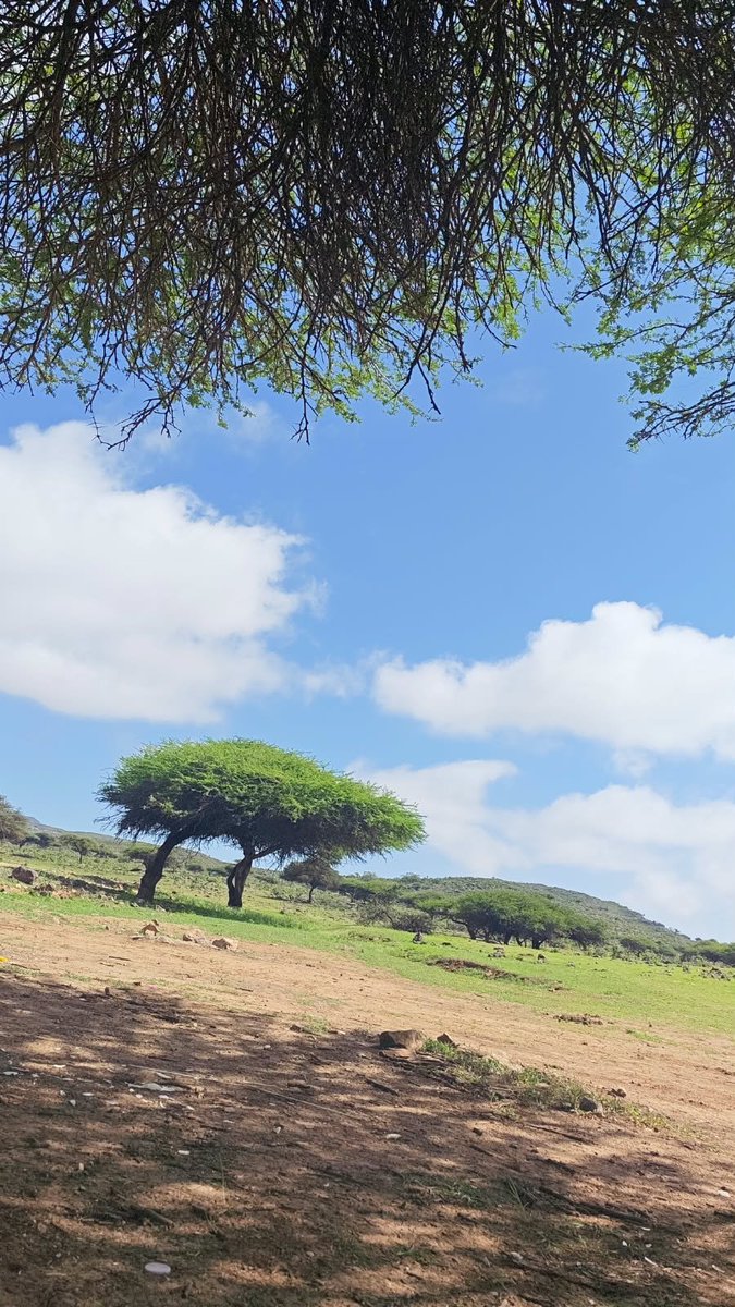 AAAA27115's tweet photo. اللهم اجعل أمنياتنا حقيقة واكتب لنا أيامًا جميلة وأكرمنا بخيرك الذي لا يفنى . https://t.co/WASg7ntMR4