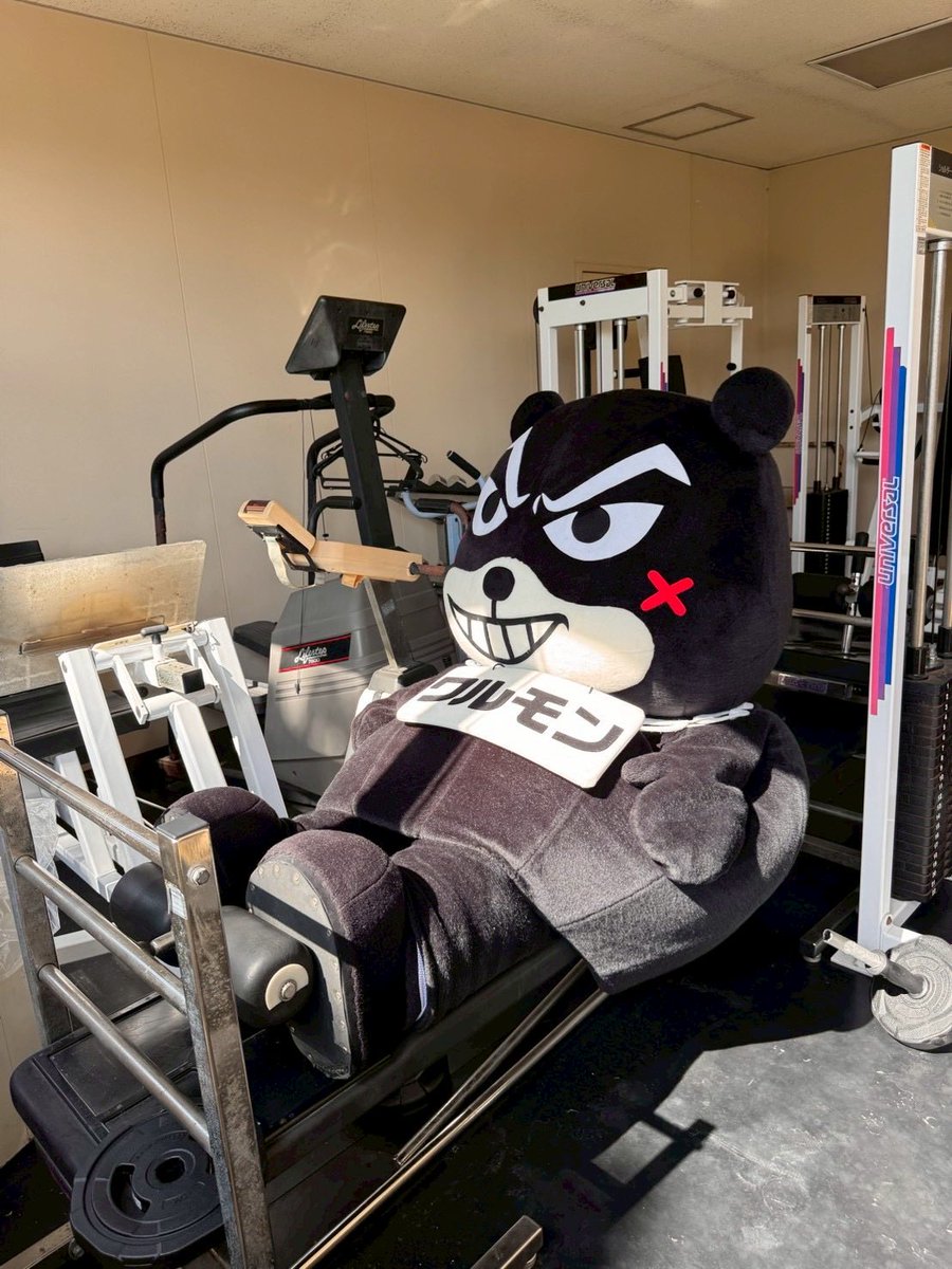kumapp_hanyoku's tweet photo. ワルモン「人間のみんなはシルバーウィークはいかがお過ごしだったバィ？オレ様はなんと出番なしだったバィ！（泣）お休み中は、いつどこに呼ばれても全力でサギの手口自慢できるように、トレーニングに励んだバィ！…ただ、今日はちょっとだけ筋肉痛で動きが遅かバィ…」 https://t.co/t6CdUf4rB2