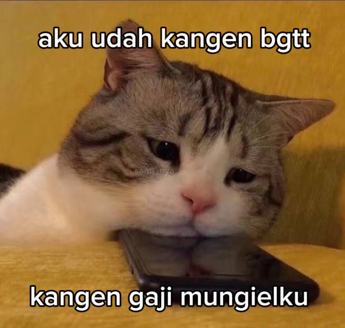 Santi_nya's tweet photo. https://t.co/gEyYkmXwYZ