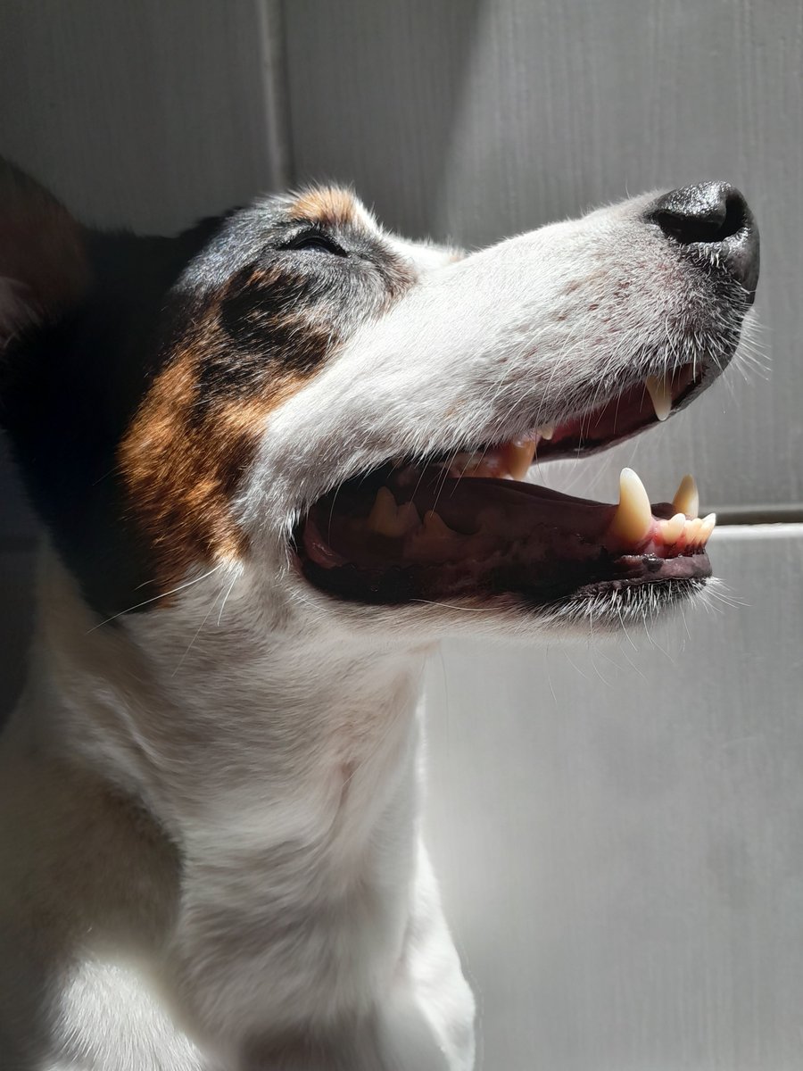 llovjgk's tweet photo. pov: você abriu minha galeria https://t.co/Y6V4lXskuP