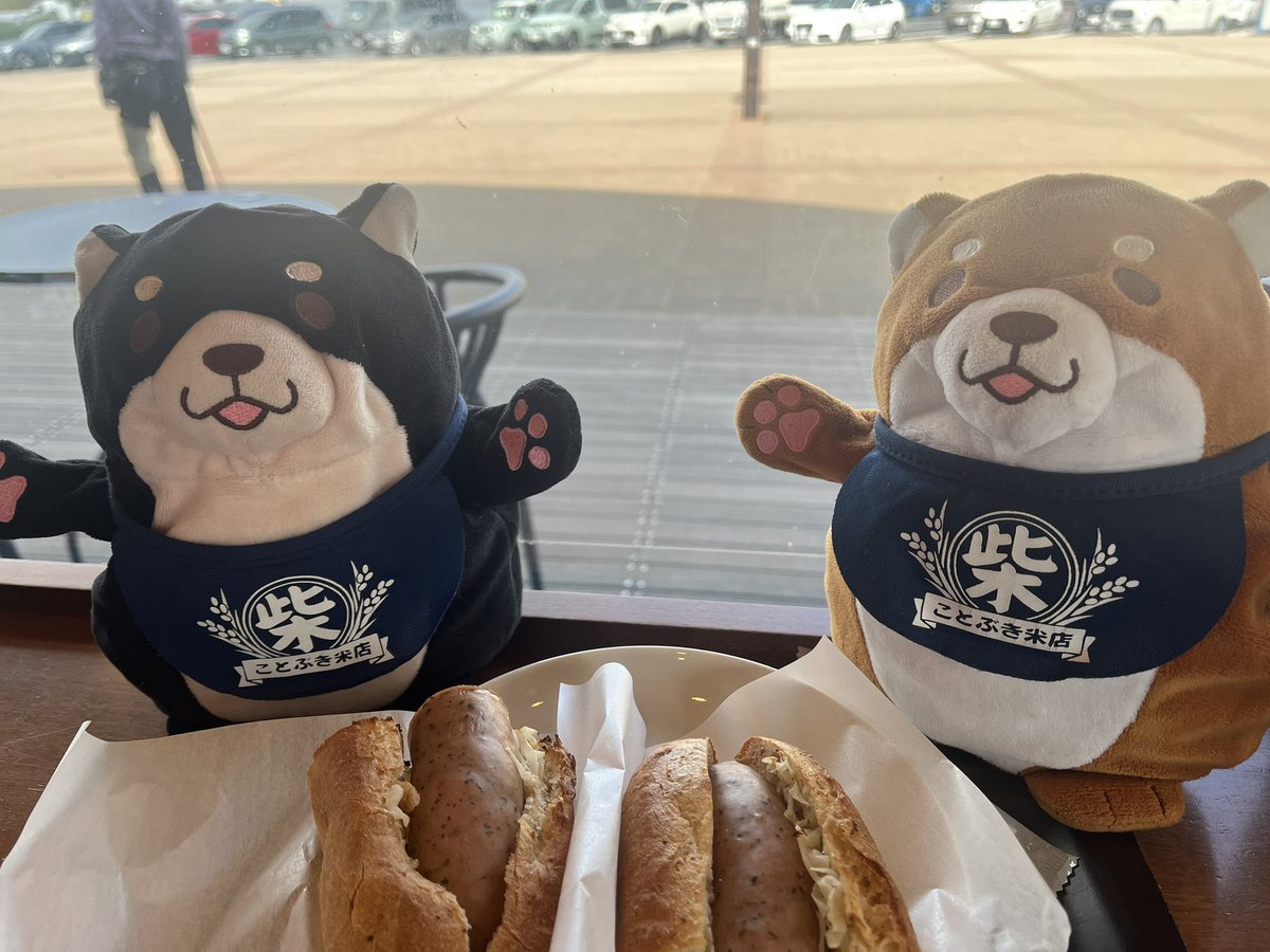 tomozo_p_union's tweet photo. 9月24日遠出します。
#三木SA の
#スタバ で小休止
ドリンクはビターミルクコーヒーとコールドブリュー
フードはハーブソーセージ石窯フィローネをオーダー
まだまだ序盤です。
目的地まで安全運転で行きましょう❗️
#忠犬もちしば https://t.co/JdhXp7Khtv