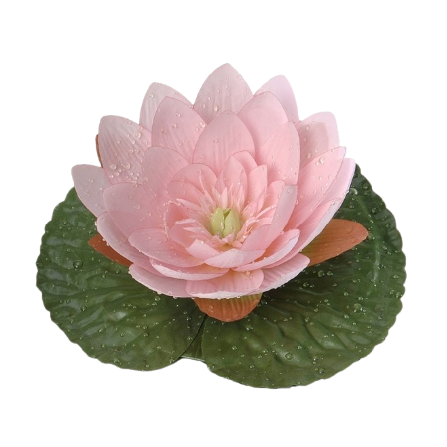 marvius_studio's tweet photo. kindly rt before use ♥️ 

📷 png : flower pink

( #แจกไฟล์png #png #giveaway #แจกpng ) https://t.co/CnvAEbHYmo
