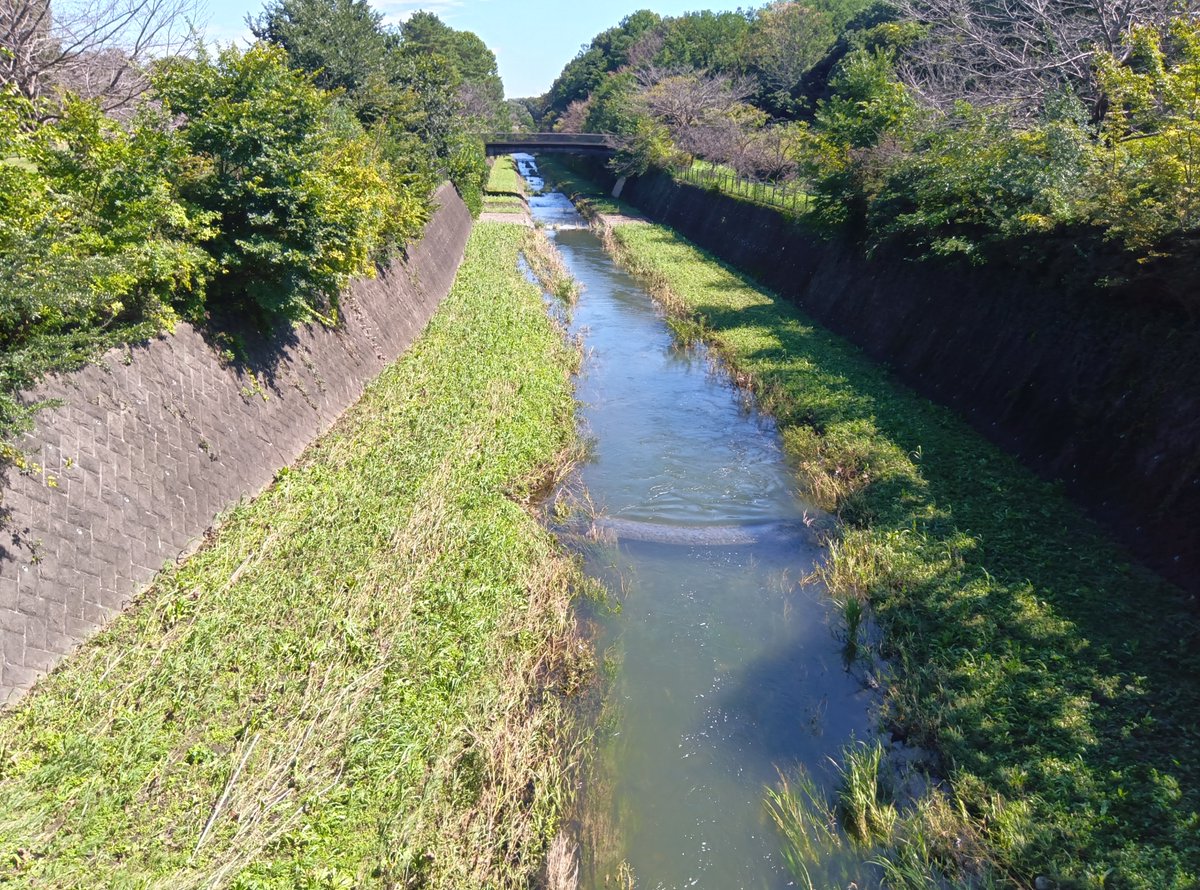 Tosy1226's tweet photo. 昭和記念公園に来てます https://t.co/kRwOU5By4y