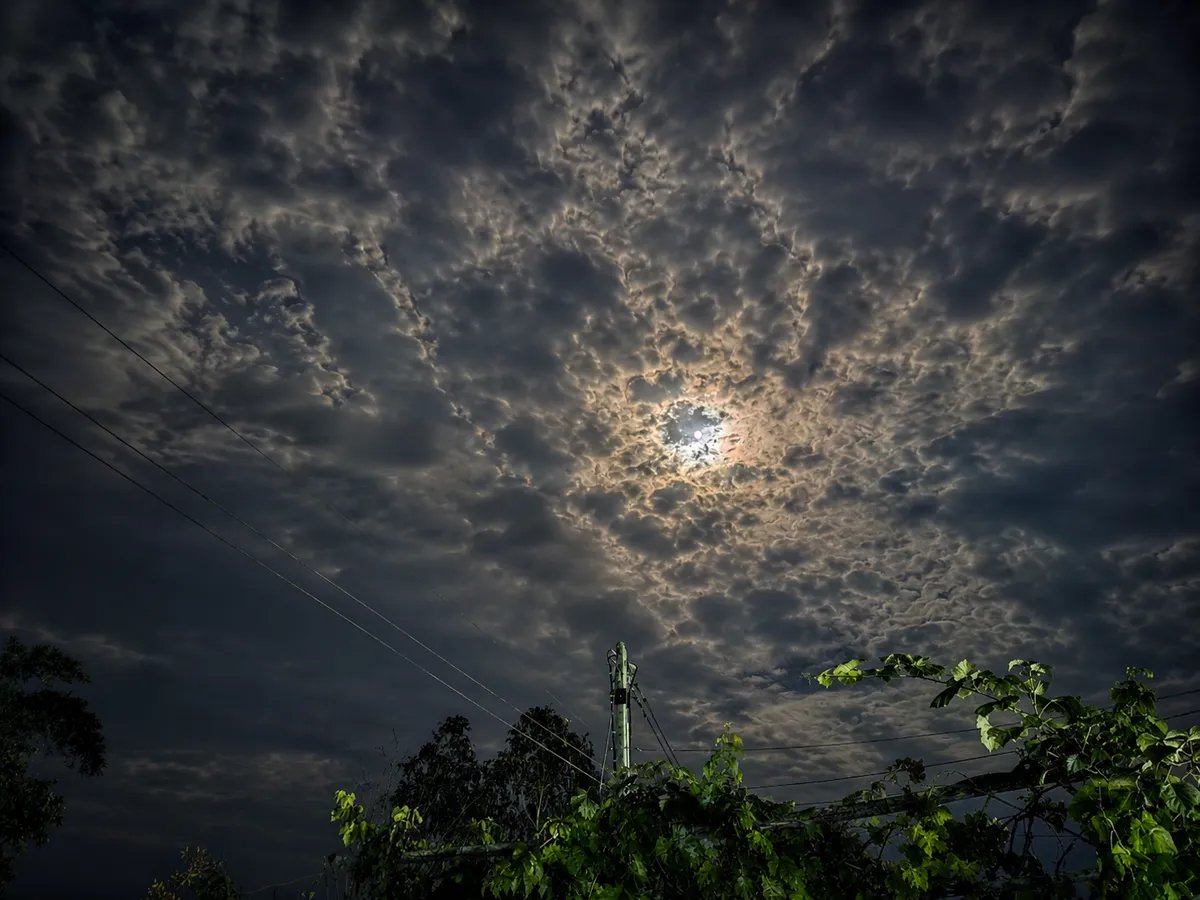 CnNymphs's tweet photo. The Sky Never Sleeps

@TransientLabs 

1/1   ::  0.069  ETH

📷 Original #photograph captured and edited by me. #PhotographyNFT https://t.co/cWecmTImn1