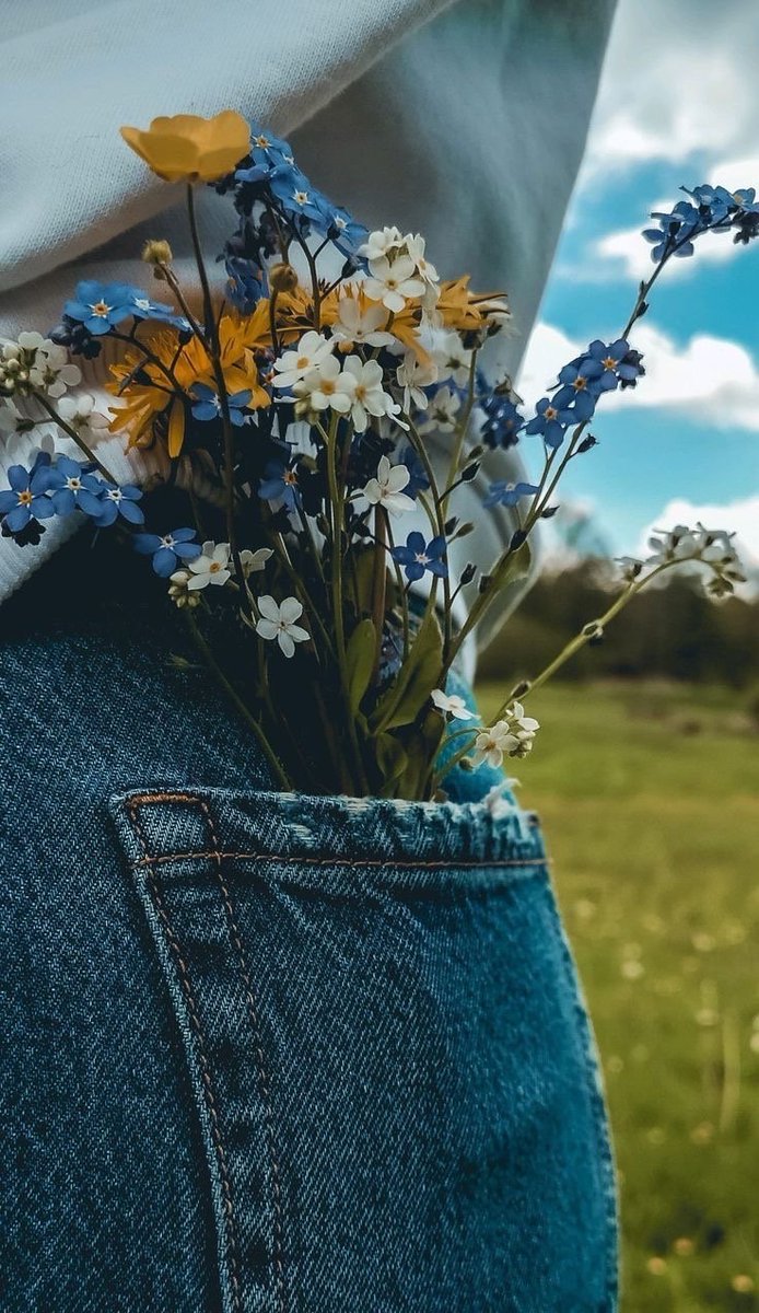 sunflowerchives's tweet photo. Wild and free. https://t.co/E0wKwo4lyd