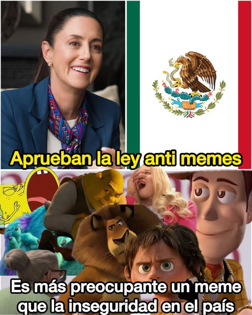 GARCIPAVON's tweet photo. #NoALaLeyAntimemes https://t.co/0NKbAj3bx1