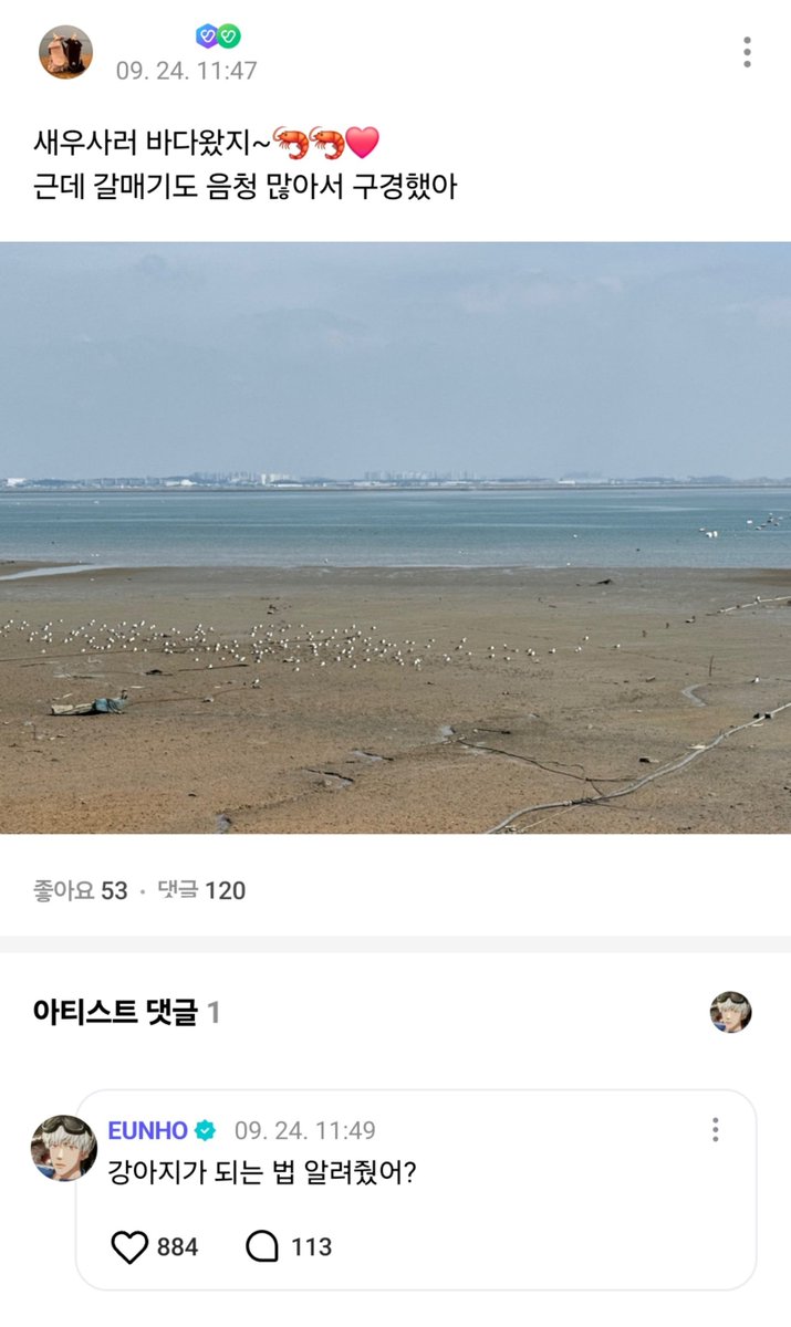 love_is_cherry's tweet photo. *

2026/09/24   AM 11:49

@ : 새우사러 바다왔지~🦐🦐❤️
       근데 갈매기도 음청 많아서 구경했아

       ㄴ ❤️ 강아지가 되는 법 알려줬어?

ㅡ
#플레이브 #은호 https://t.co/yn7bhuexDw