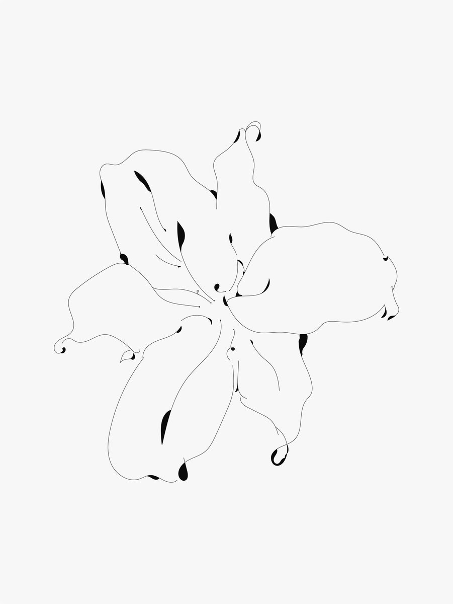 detailsofjin's tweet photo. may your trials end in full bloom. https://t.co/WUfBMkvs2R