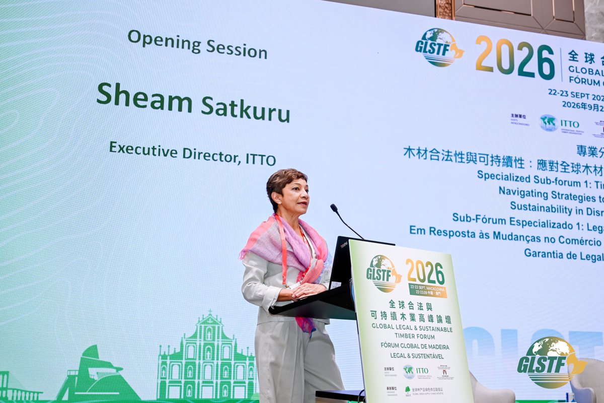 itto_sfm's tweet photo. 🌳 How can the global timber sector build resilience amid disruption?

Day two of the #GLSTF2026 brought together governments, industry, researchers and international organizations for ITTO’s Specialized Sub-Forum 1 on Timber Legality and Sustainability
https://t.co/Oziss6qRaw https://t.co/SkpOa60F01