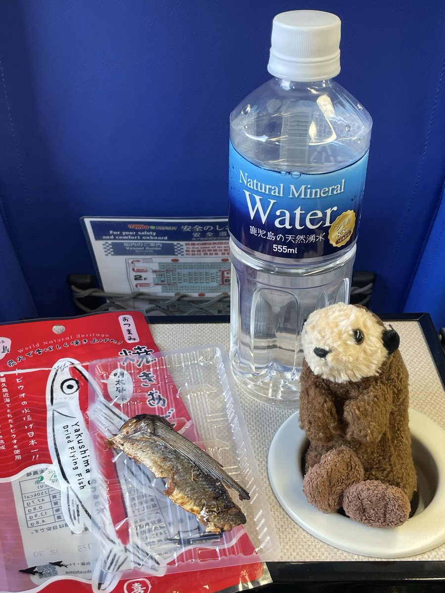 monmon_monchann's tweet photo. さらば屋久島！
フェリーに乗って鹿児島本土に帰るぜ🦦
#ぬい撮り #��い活 https://t.co/19G6jaaccx
