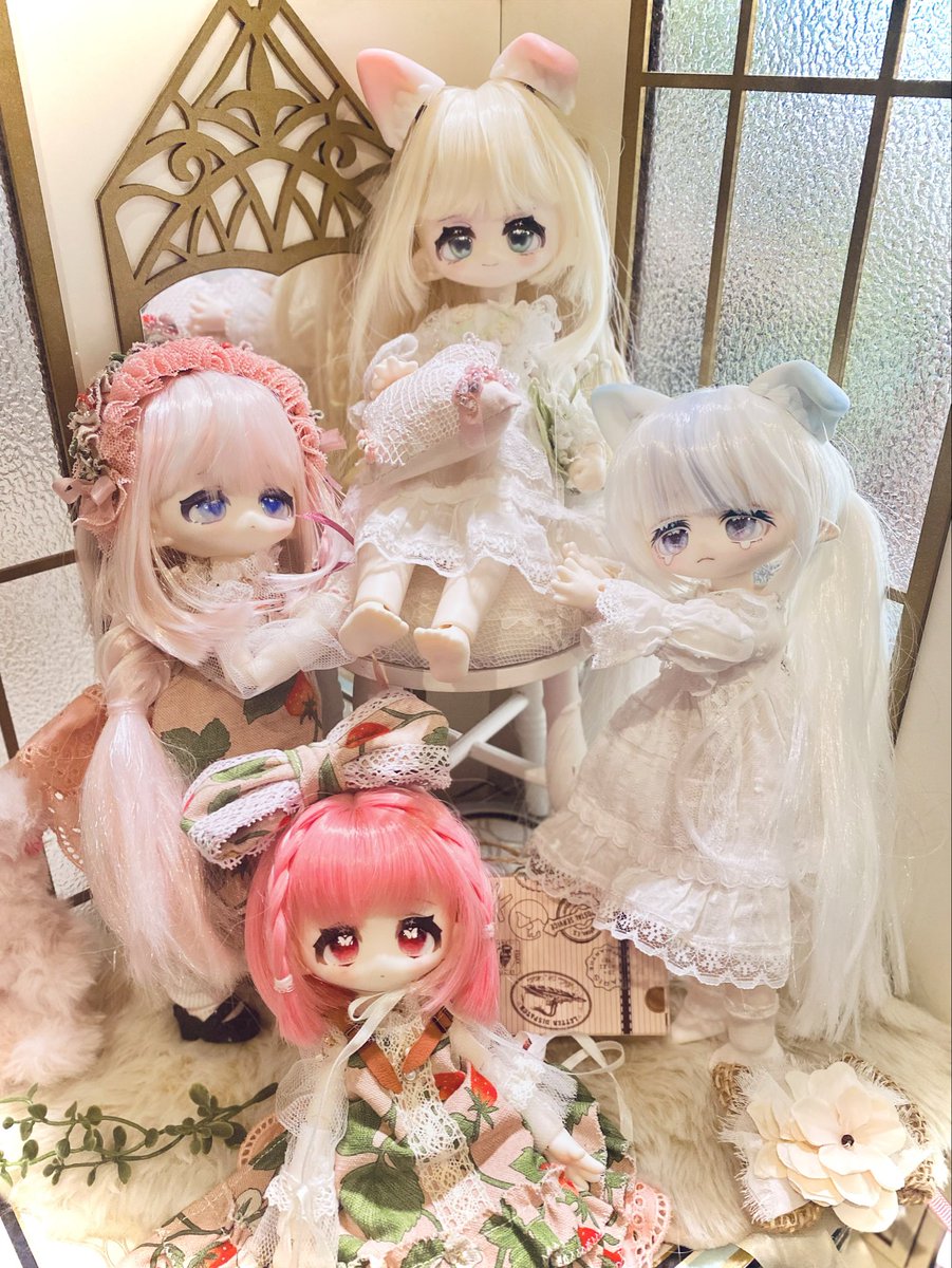 HBCocoon's tweet photo. みんなそれぞれ可愛い(*´`)♡

MiMiAちゃんに作った白のドレスが良く似合うから、少しサイズ調整して、バランス調整もしてまた作ってみよ～🎀

 #モフモフおやすみ 
#ブラインドドール好きさんと繋がりたい https://t.co/Ui7GwwHpRB