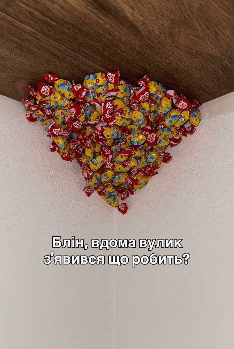 ilovetzd's tweet photo. https://t.co/F1RW0YtZZh