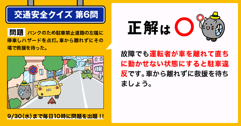 Link preview