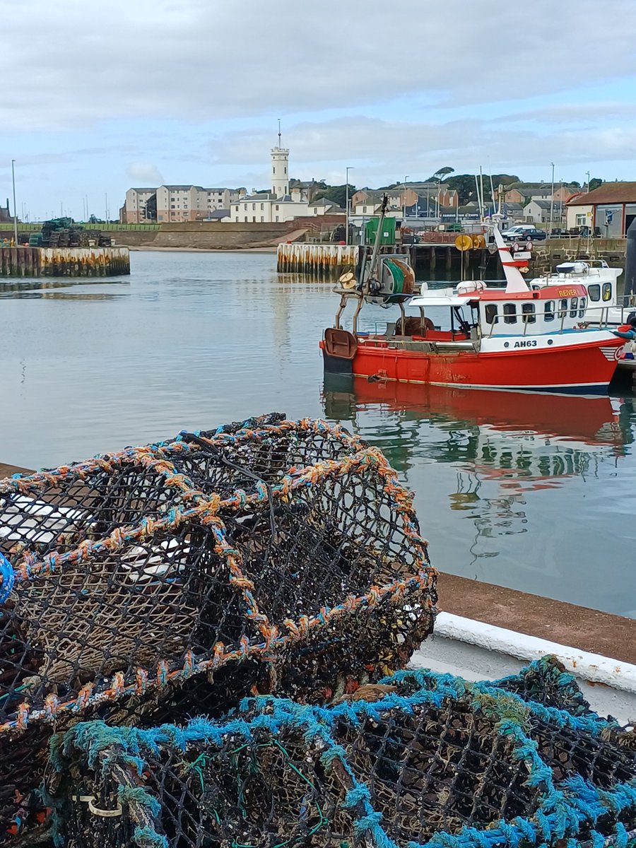 brew_with_view's tweet photo. Looking into Arbroath harbour
#AlphabetChallenge #WeekLforLookingIn https://t.co/bURrwcXXtd