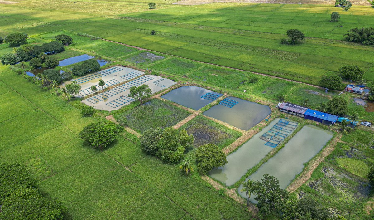 CanEmbPH's tweet photo. From innovation in the hatchery to impact in communities, here's how climate-smart solutions are helping build a more resilient and sustainable future for Philippine agriculture.
Details 👇https://t.co/MRAdbNSmHD https://t.co/b5ldLw0T7f