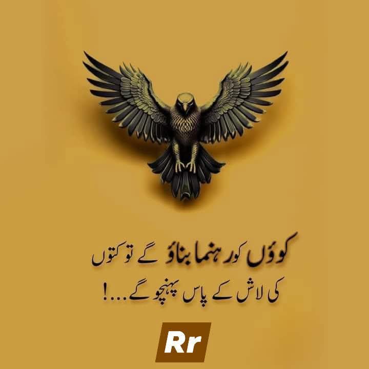 Kamran6240's tweet photo. @SHABAZGIL https://t.co/YwMaoCzy5s