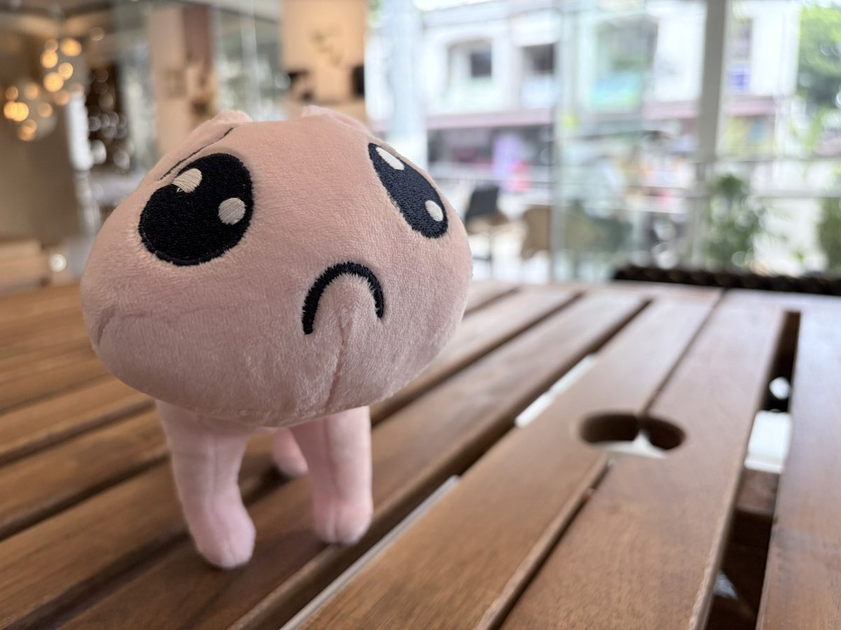 connectwithyue's tweet photo. I’m a “plush toy” kinda girl (>؂ •́)ᕗ⊹ ࣪ ˖ https://t.co/DX3wo7ODIh