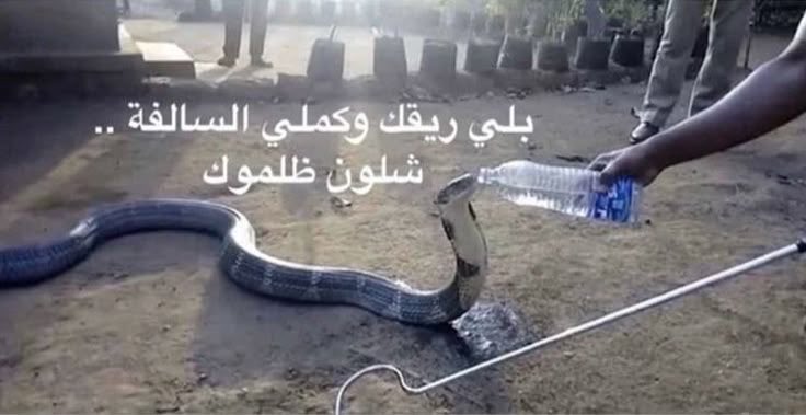 dvni0u's tweet photo. @SYD19783 هاي انتي https://t.co/EU4W1e024Y