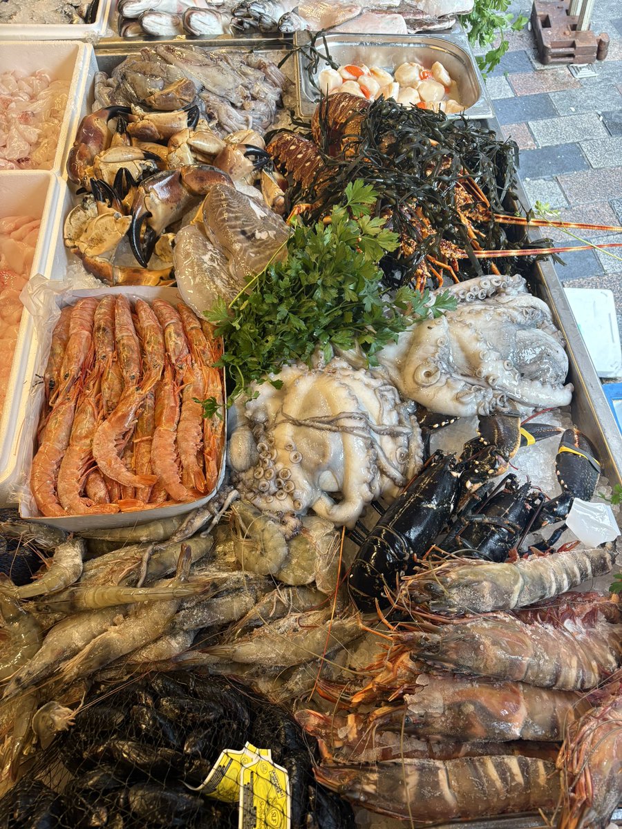 jonnorris12's tweet photo. Would you just look at all that gorgeousness!
#SW1 https://t.co/LJWEdRnOZR