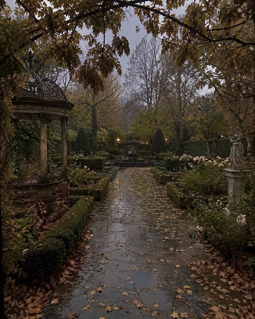 spooky_nature's tweet photo. Edinburgh after autumn rain 🍂🌧️ https://t.co/KnXSCUhk9B
