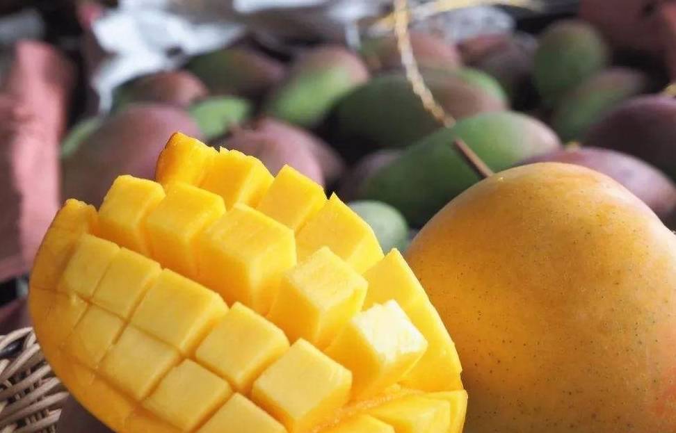 IsadoraCerzs's tweet photo. This sweet, juicy imported mango Total game-changer! No stringy texture, just perfect tropical flavor that elevates yogurt, salads, or eats straight up. Worth every penny for your next snack.， https://t.co/9n6L2LbUvb