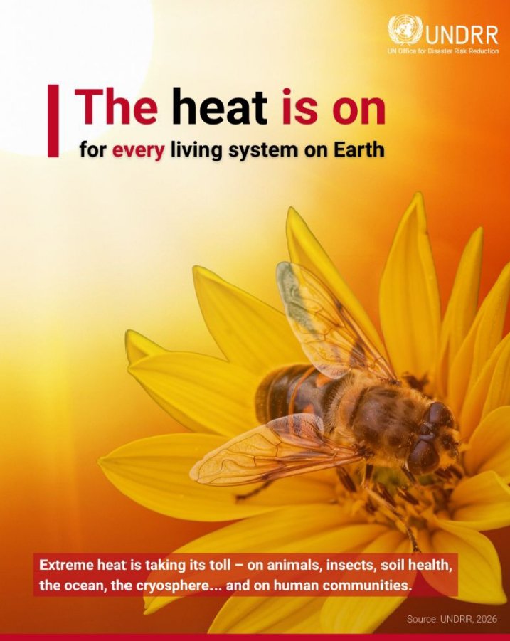 zumjidechi's tweet photo. Courtesy human actions.
#savetheearth https://t.co/3CSGl00lab