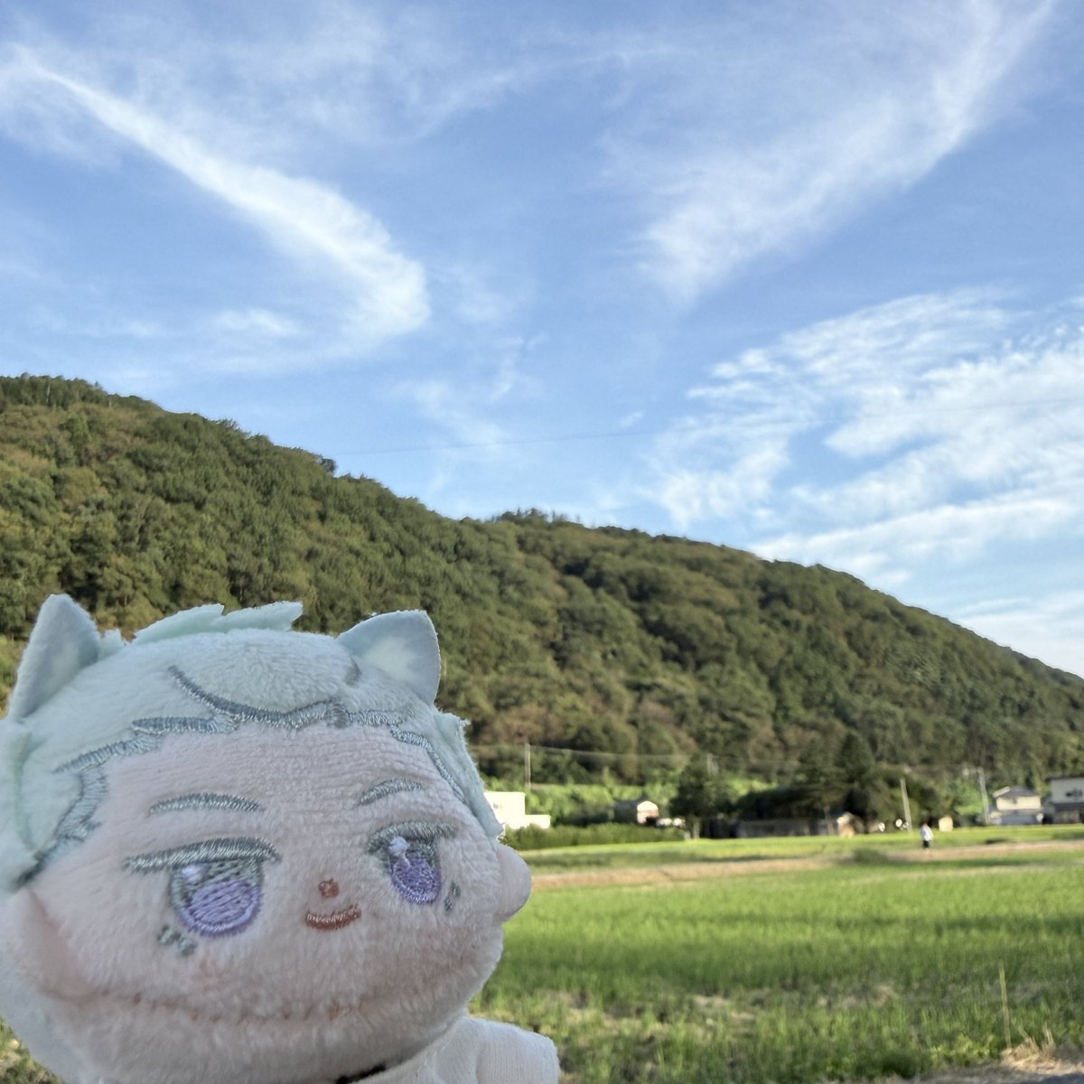 tor_enomena's tweet photo. この長閑な田園風景ともお別れよあめひこ https://t.co/CJwswrBhV9