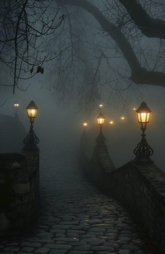 gloomyvisuaIs's tweet photo. foggy weather. https://t.co/vT54Ao1Mbl