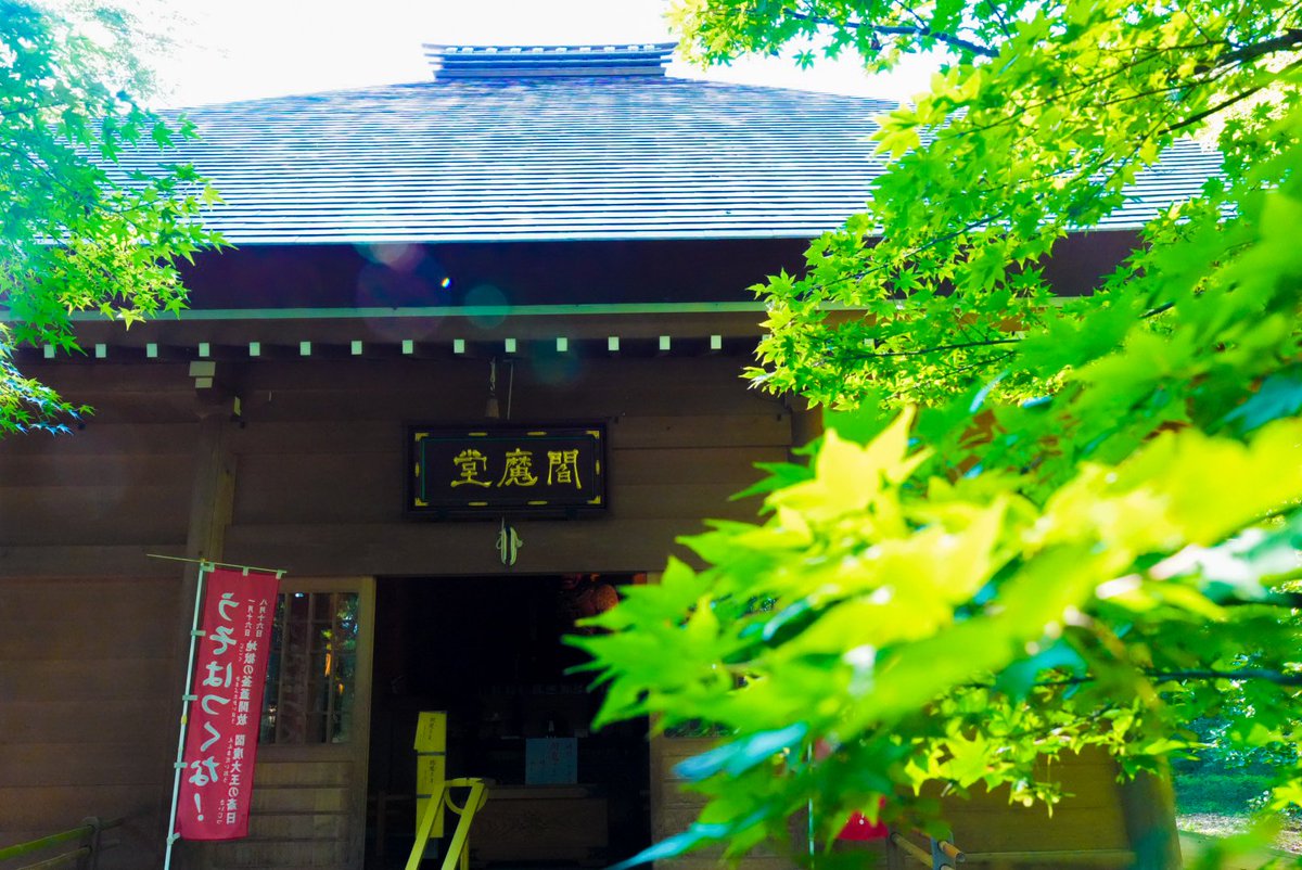 keee_abc's tweet photo. 九品仏浄真寺
#α7cII #GMaster https://t.co/toDoIGxpRi