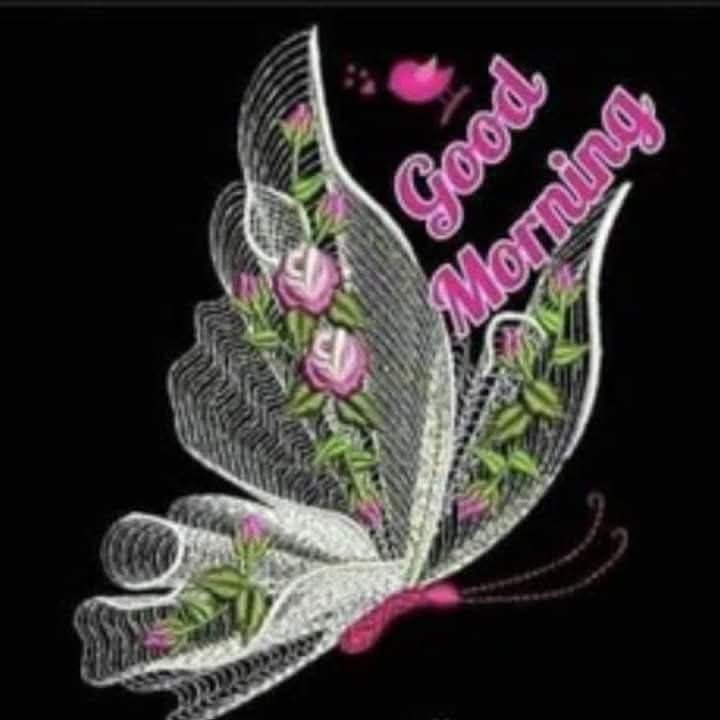 mecitsimsir1's tweet photo. @plklunaa Öperdim canim Luna https://t.co/oo0EPT3usJ