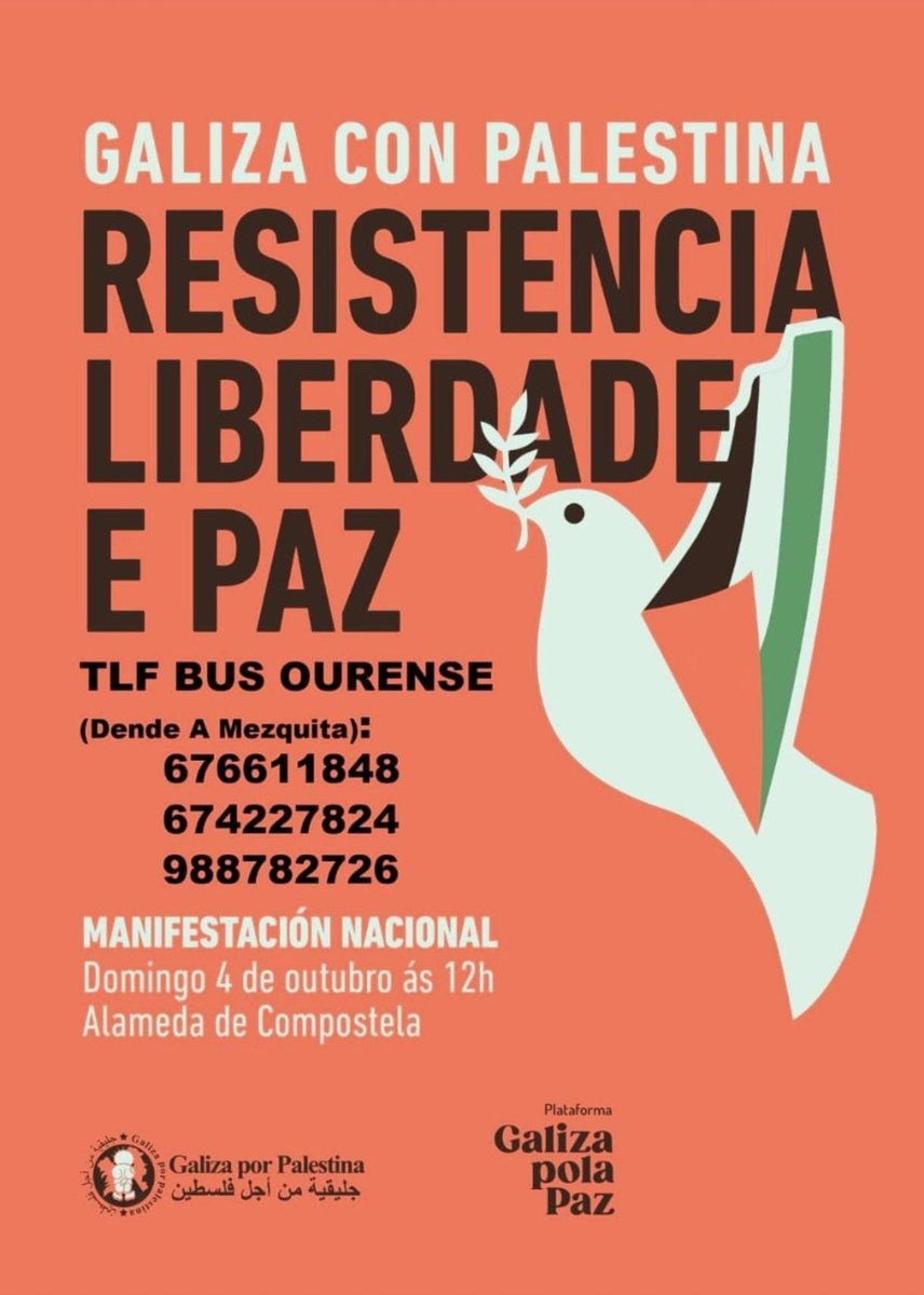 BNGOUrense's tweet photo. AUTOBÚS DESDE OURENSE 🚌
📋Reserva a túa praza 

📞 676 61 18 48
📞 674 22 78 24
☎️ 988 78 27 26