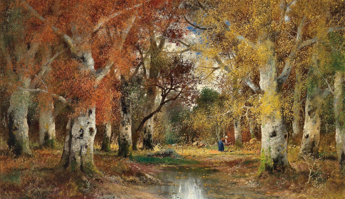 Imp111h's tweet photo. Alois Arnegger
Autumn in the Forest https://t.co/nsDbWSd3jH