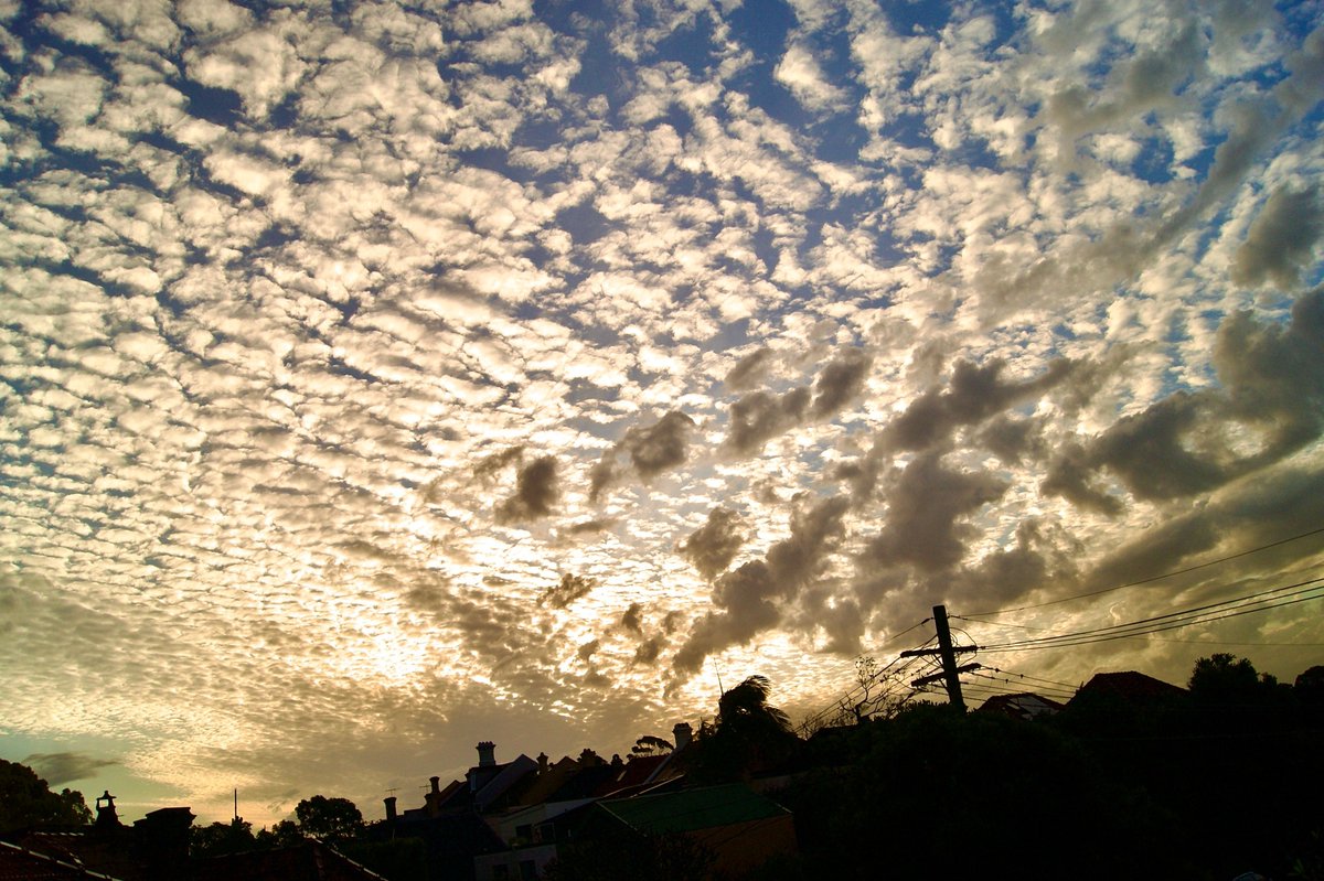 SolarWatch's tweet photo. A golden farewell over Stanmore, Australia, easing into a calm blue hour. ⭐️⭐️⭐️⭐️⭐️ #Sunset #BlueHour #Stanmore #Australia #SolarWatch

Photo: SolarWatch community https://t.co/JeTo7zW1X5
