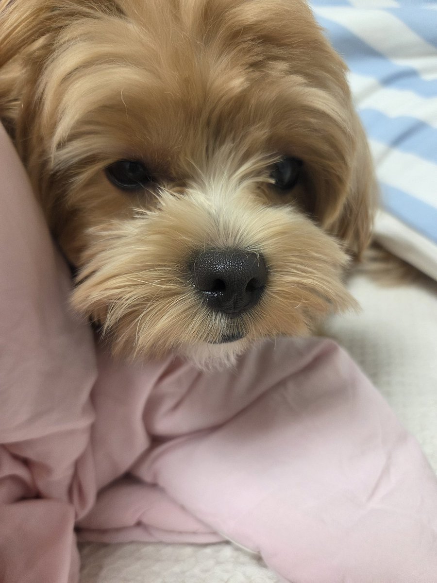 PpyoDdyo's tweet photo. #일상계트친소 #일상계_𝕏친소 https://t.co/PrqlRl68lD