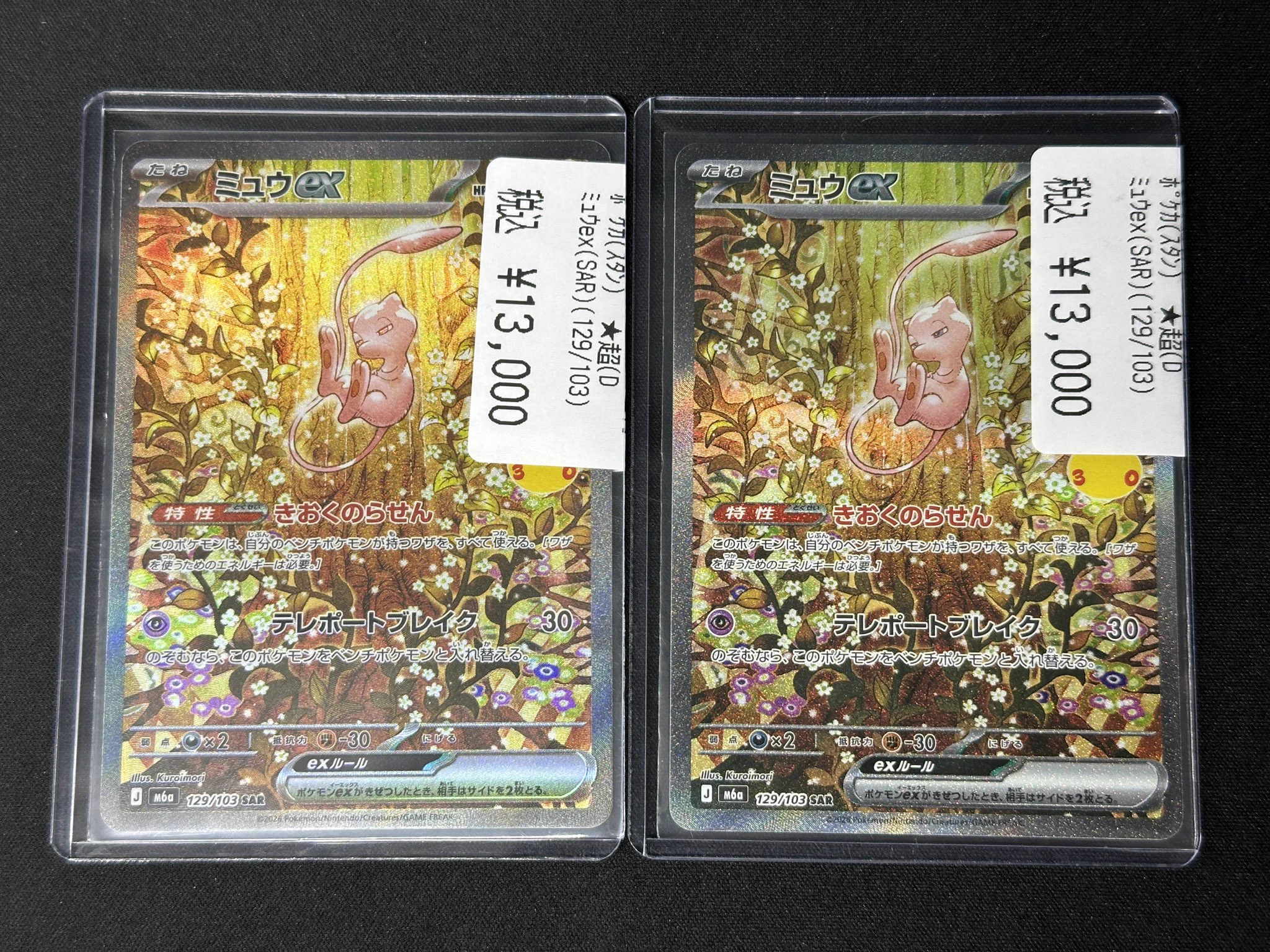 2連番】PSA10 メガ トレーディングカード ジガルデex SAR PSA10