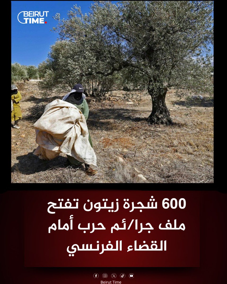beiruttime_leb's tweet photo. 📌 رفع رجل أعمال فرنسي من أصل لبناني دعوى أمام القضاء الفرنسي ضد الجيش الإسرائيلي، متهماً إياه بارتكاب جر/ائم حرب وتدمير ممتلكات عائلته في جنوب لبنان

📌 وبحسب الدعوى، اقتُلعت نحو 600 شجرة زيتون معمّرة من أرض العائلة في زوطر الشرقية، بعضها يعود عمره إلى نحو 500 عام، فيما تزرع العائلة الأرض منذ قرابة 250 عاماً

📌 المدعي قال إن منزل عائلته دُمّر أيضاً بغارة إسرائيلية قبل ساعات من إعلان وقف إطلاق النار في نيسان 2026، وإنه يشتبه بنقل الأشجار المقتلعة إلى إسرائيل

📌 الدعوى تتضمن اتهامات بالسرقة والتدمير والإضرار بالممتلكات، وتعتبر اقتلاع الأشجار جزءاً من انتهاكات أوسع شهدها جنوب لبنان

📌 محامو المدعي أكدوا أنهم يطالبون القضاء الفرنسي بالتحقيق لتحديد هوية المسؤولين عن هذه الأفعال وملاحقتهم قضائياً

#بيروت_��ايم