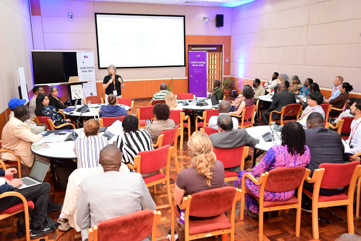 CGIAR's tweet photo. 📸 Day 2 of #ScalingWeek2026 in pictures. 

More than 400 people from over 40 countries and 100 organisations gathered in Nairobi with a shared question: how do we turn promising innovations into lasting change?

🔗 https://t.co/1WbFcc35SI https://t.co/Xx0jRAjPx4
