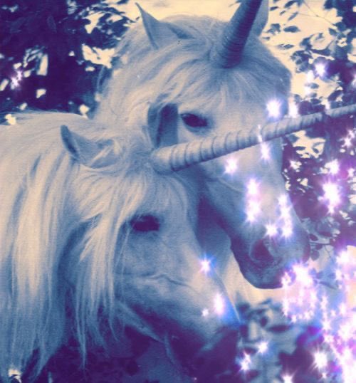 cultofisabel's tweet photo. ִֶָ. ..𓂃 ࣪ ִֶָ🪽་༘࿐

⤷ Isabel’s intro #edrtwt 

꒰ঌ ໒꒱ 18
꒰ঌ ໒꒱ BED, high sw moots needed!! 
☆Not new just relapsed!

ִֶָ🪽་༘ugw: 95lb/43kg

abt me : i like visual novels, unicorns, doing nails, and outfit creating! 
dni: minorsᝰ.ᐟ
ifb ! ! !
— ᨳଓ . https://t.co/TdPFBTlTPP