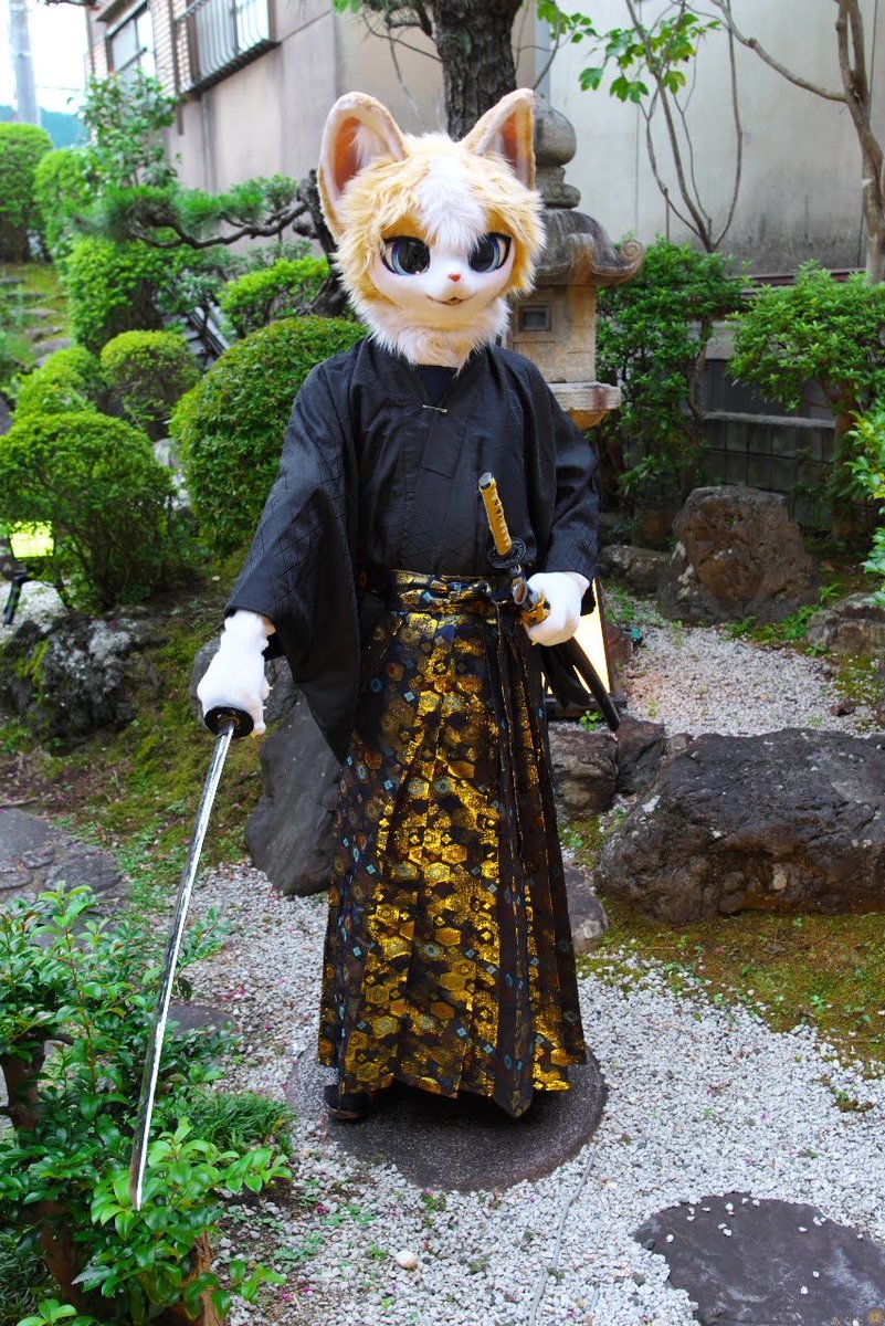 RukeNeko's tweet photo. 猫侍🐱⚔️
#FursuitEveryday https://t.co/AcKI13xI3l