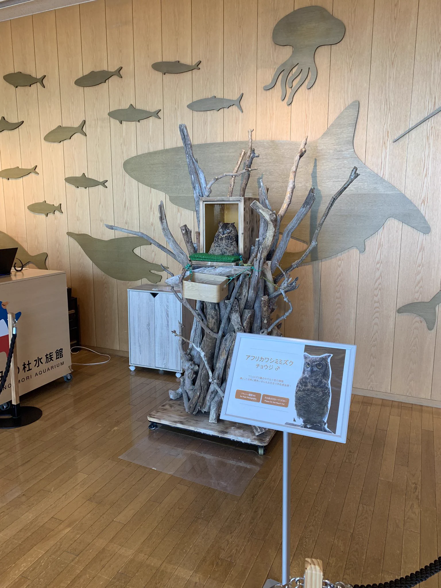 値下げ❗️水族館等に使われる倒木もどき(樹脂製) ゆー on X: 