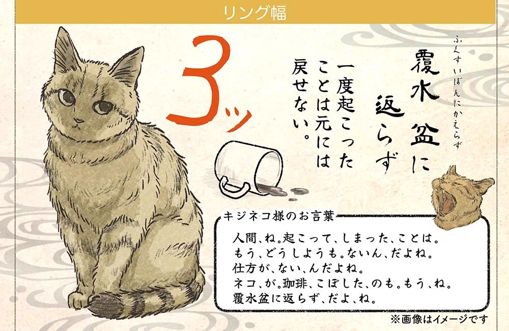カドスト on X: 