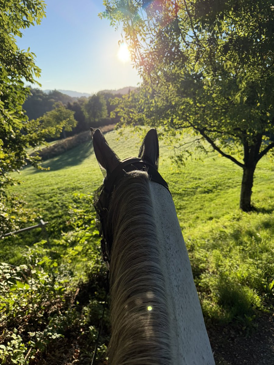 manubaechler's tweet photo. Enjoying the early morning view with my best friend Qui Bono (Barry) https://t.co/oj1unn7dDb