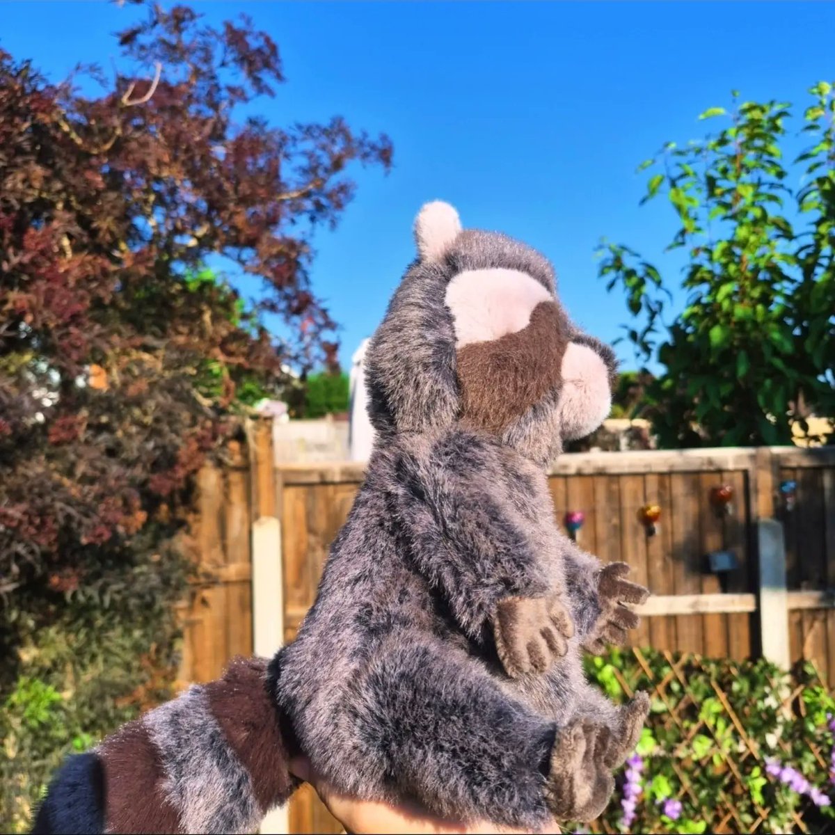 Stuglasgow's tweet photo. I love Trixie so much. @jellycat https://t.co/SvB4brVA1p