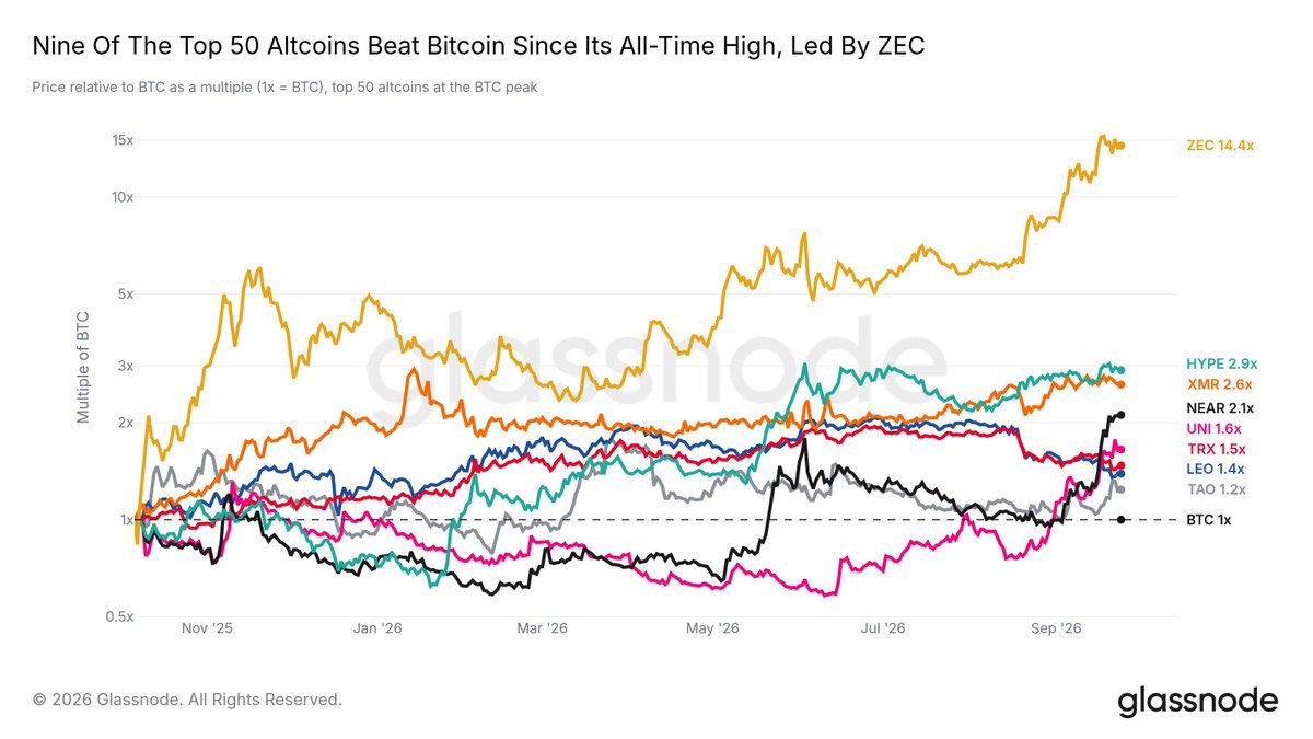 mousaonchain's tweet photo. Nur 9 der Top-50-Altcoins haben $BTC seit dessen Allzeithoch übertroffen.

ZEC führt mit großem Vorsprung und liegt 14-mal höher als Bitcoin.

HYPE, XMR und NEAR folgen mit dem 2- bis 3-Fachen. https://t.co/U5Z7WUeCGc