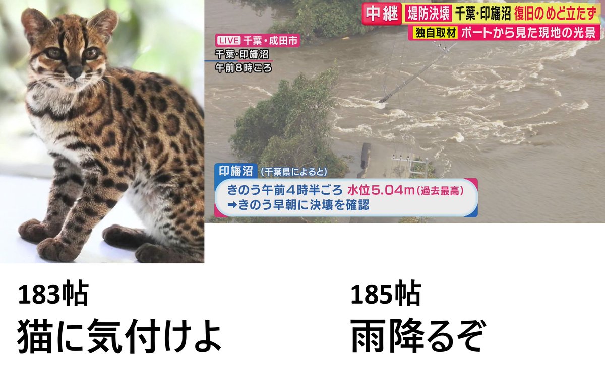 macpoker131's tweet photo. 日月神示　第6巻日月の巻
183帖「猫に気付けよ、犬来るぞ。」
184帖「92帖+92帖=184帖（+38帖=222帖）」
185帖「雨降るぞ。」
199帖「第26帖=6月26日、833帖-634m(武蔵)=199」 

9月17日
1923年以来103年ぶりの新種の猫ティルカヨ
9月22日
印旛沼の堤防が決壊
「渦海マアカタとは印旛ぞ」(麻賀多神社) https://t.co/3gNPKT56rC