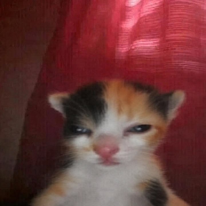 Zero_Ghost21's tweet photo. Váyanse a la verga salí en la mañana de mi casa y nadie me dijo que iban a pintar mi cuarto pos llegó y veo unos prints de furros en bolas que tenía escondidos en una pared 
Quiero pensar que nadie los vio https://t.co/7L1k58HwpC