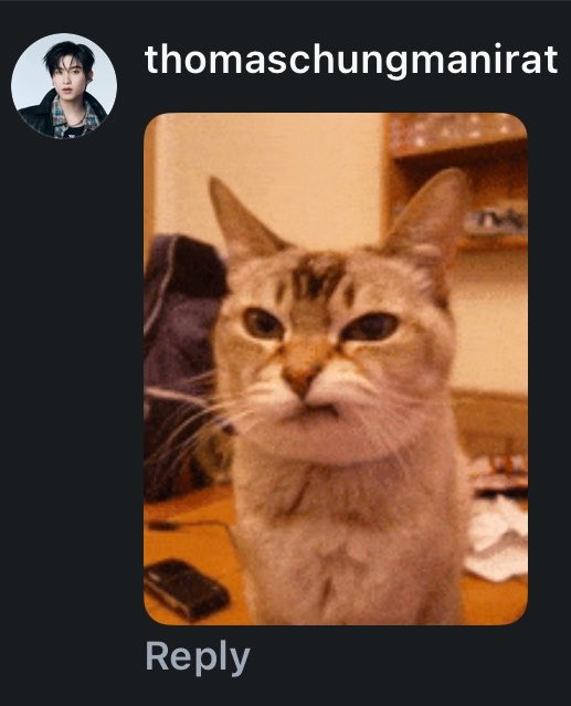 irelftn's tweet photo. 💢😾 https://t.co/8tTkMTUScI