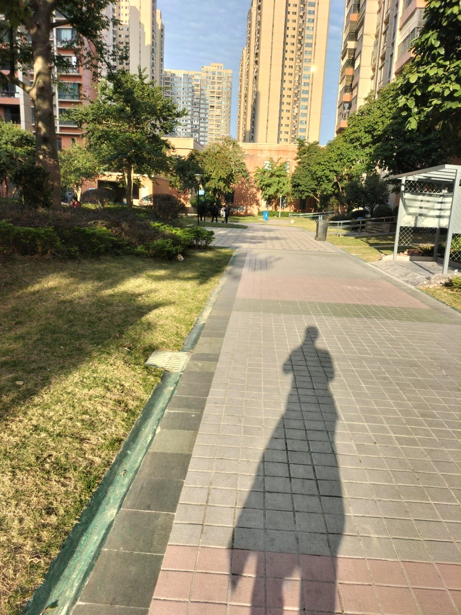 KeikoFlauti3dp's tweet photo. Growth isn’t about never falling—it’s about getting up, dusting off, and choosing to try again, a little wiser each time. https://t.co/q8DorWWHQr