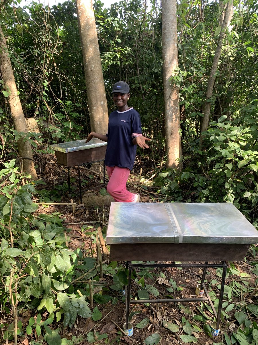 oyinbeekeeper's tweet photo. A lot of young Nigerians are looking for opportunities.
Meanwhile, there’s farmland somewhere carrying their family name.

I started my own beekeeping journey with my mum’s land.
Sometimes the first step isn’t buying something new.
Sometimes it’s looking at what you already have differently.
What is sitting on your family land right now?
Crops? Trees? Empty space?
Maybe there is an agricultural opportunity there that you haven’t considered yet.🐝
#oyinthebeekeeper #BeekeepingJourney #savethebees