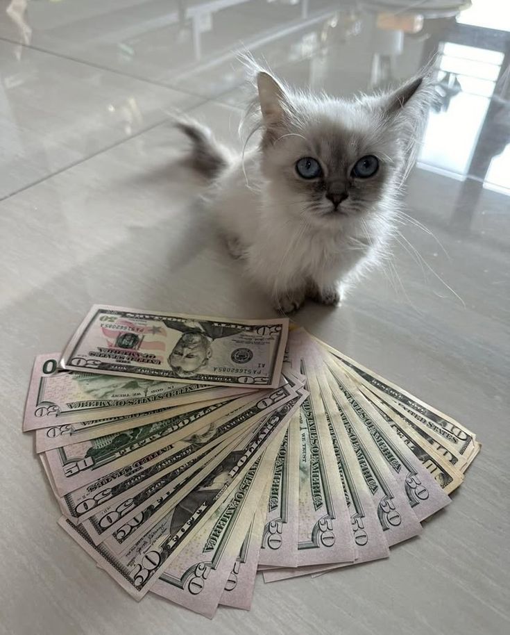 MainCryptoWorld's tweet photo. @BitcoinMagazine After all, back in mid-2020, Bloomberg also predicted that Bitcoin would rise to $50k. Something to think about))) https://t.co/2VINblC7Jh